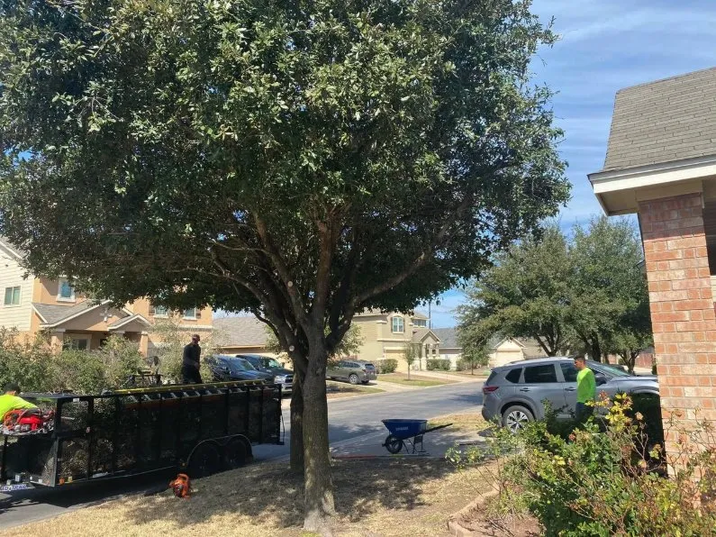 Trusted outdoor landscaping for outdoor upgrades in Cedar Park, TX by Bryan's Premium Lawn & Tree Care