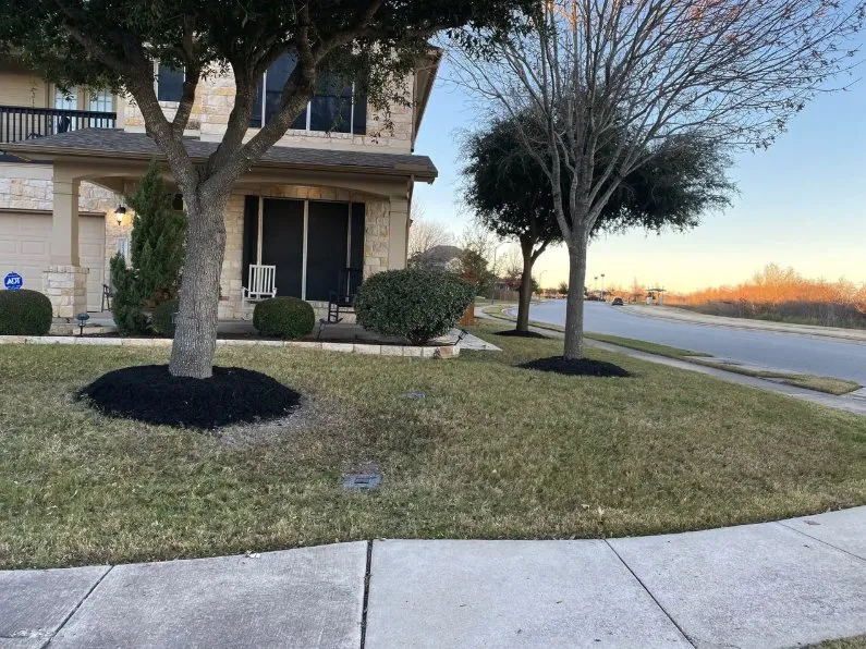 Top-rated yard maintenance in Cedar Park, TX by Bryan's Premium Lawn & Tree Care