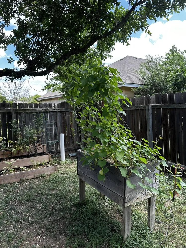 Reliable yard cleanup service for year-round maintenance across Cedar Park, TX - Bryan's Premium Lawn & Tree Care