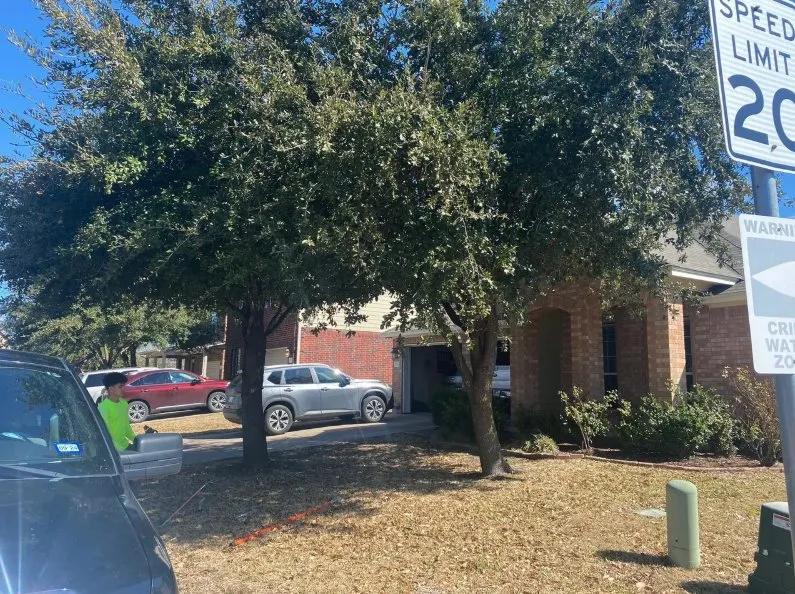 Local landscape design for homes in Cedar Park, TX by Bryan's Premium Lawn & Tree Care