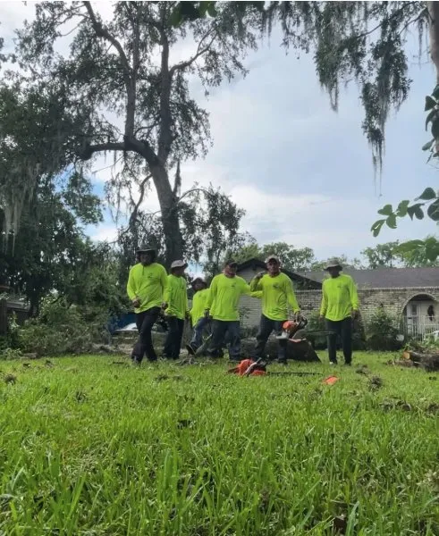 Custom yard maintenance experts serving Cedar Park, TX - Bryan's Premium Lawn & Tree Care