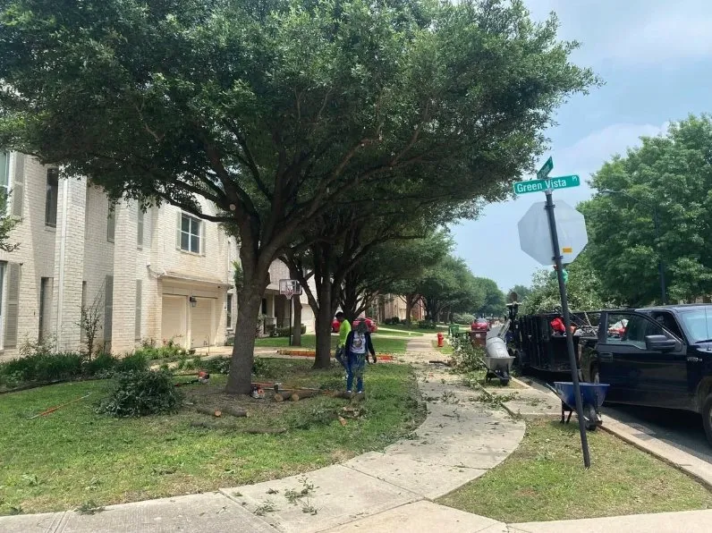 Top-rated yard maintenance in Cedar Park, TX - Bryan's Premium Lawn & Tree Care