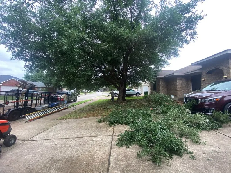 Expert residential landscaping experts serving Cedar Park, TX - Bryan's Premium Lawn & Tree Care