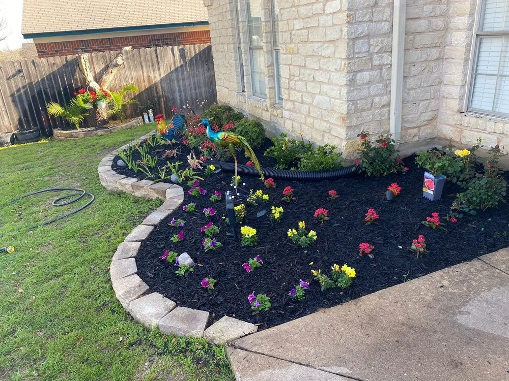 Expert lawn care service experts serving Cedar Park, TX - Bryan's Premium Lawn & Tree Care