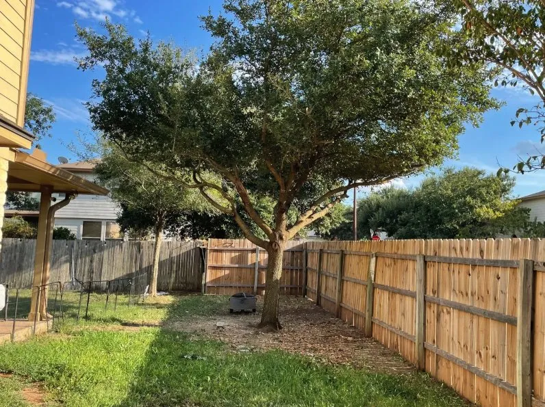 Trusted residential landscaping in Cedar Park, TX - Bryan's Premium Lawn & Tree Care