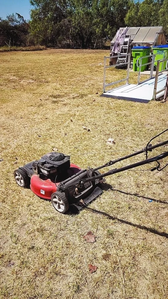 Custom yard maintenance for outdoor upgrades in San Antonio, TX by Bryan's