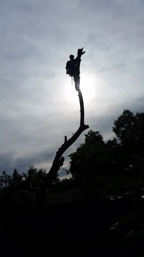 Custom outdoor landscaping for year-round maintenance in Garland, TX by Bryan's Services