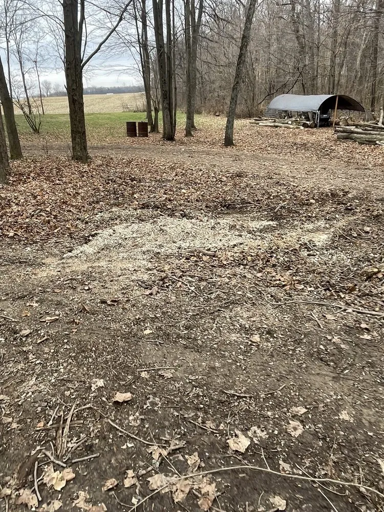 Professional landscape design in Columbus, OH - Bryan’s Stump Removal