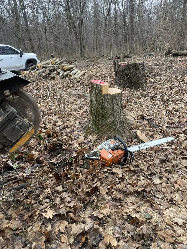 Custom landscape installation for beautiful yards in Columbus, OH by Bryan’s Stump Removal