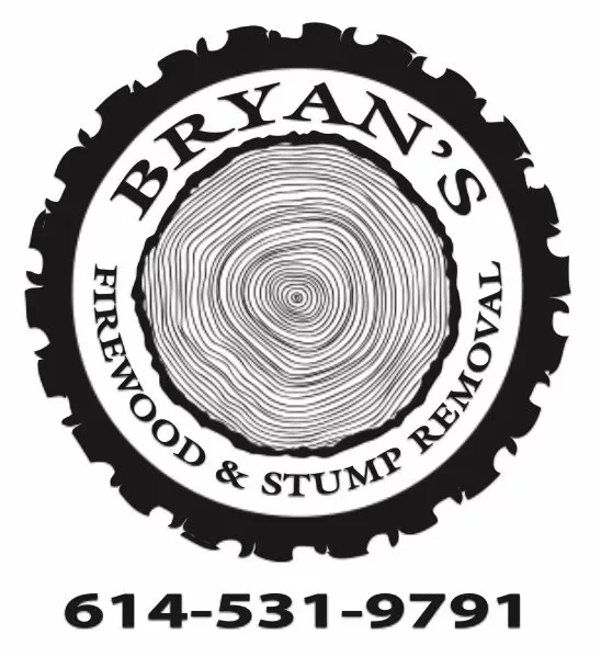 Affordable landscaping services for beautiful yards across Columbus, OH - Bryan’s Stump Removal