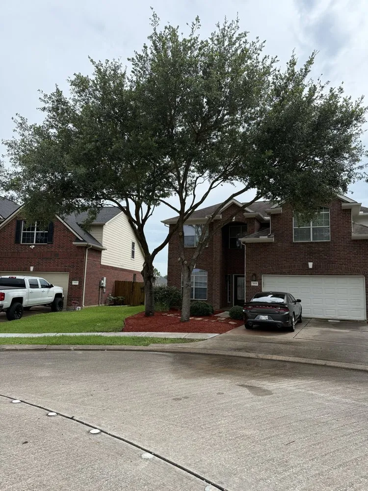 Professional garden landscaping experts serving Alvin, TX - Bryan’s Tree Care & Landscaping