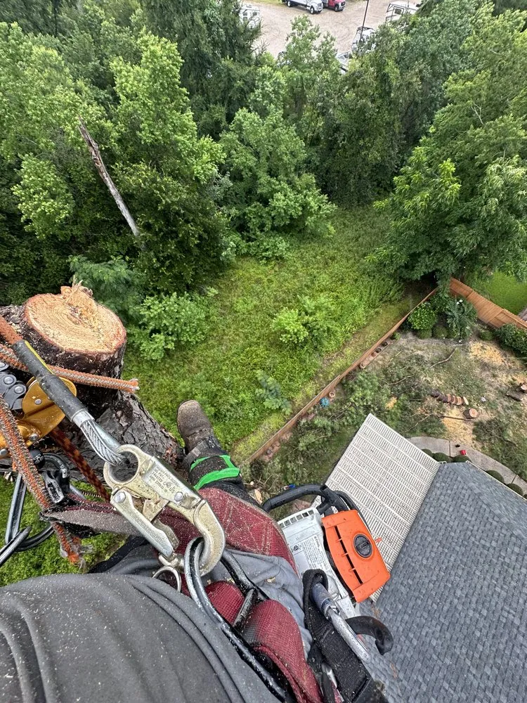 Affordable landscaping services with custom design in Alvin, TX by Bryan’s Tree Care & Landscaping