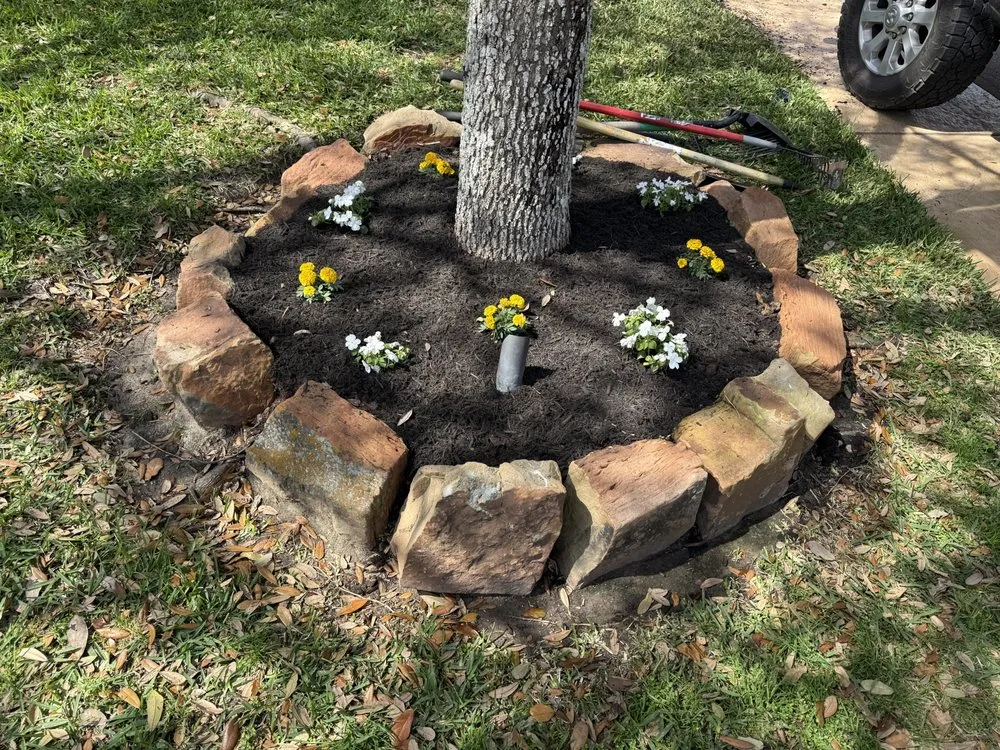 Expert lawn mowing service experts serving Alvin, TX - Bryan’s Tree Care & Landscaping