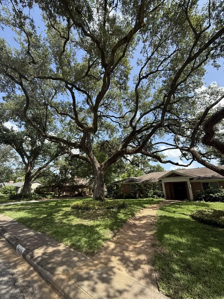 Local garden landscaping experts serving Alvin, TX - Bryan’s Tree Care & Landscaping