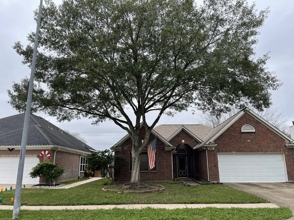 Reliable yard maintenance in Alvin, TX - Bryan’s Tree Care & Landscaping