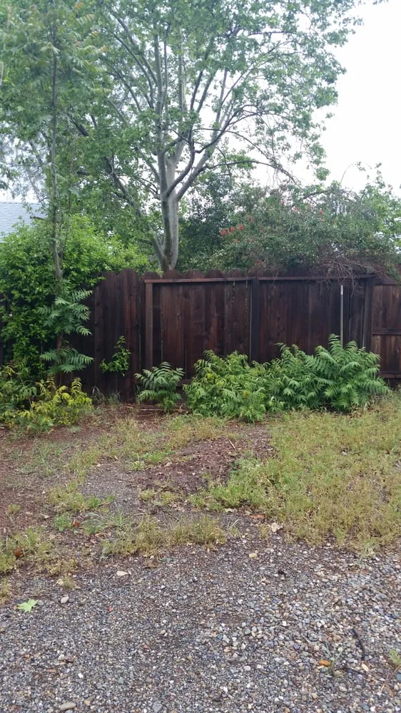 Local residential landscaping for residential properties across Redding, CA - Bryan's Yard Service