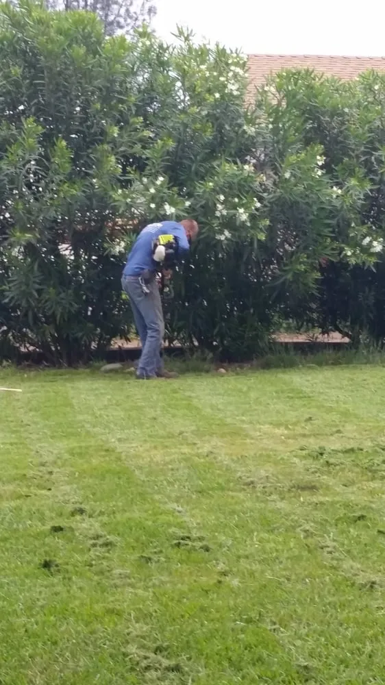 Reliable lawn care service near you across Redding, CA - Bryan's Yard Service