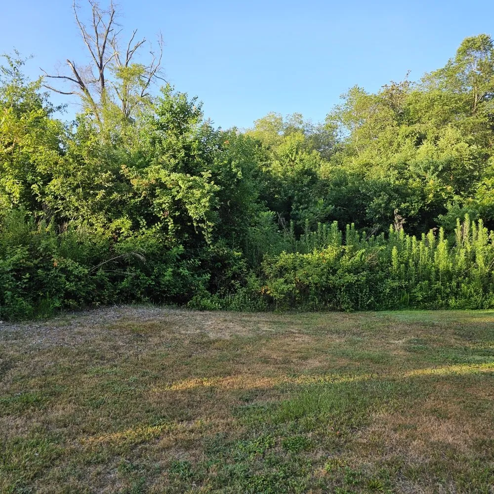 Professional yard cleanup service in Huntsville, TX by Bryant land services