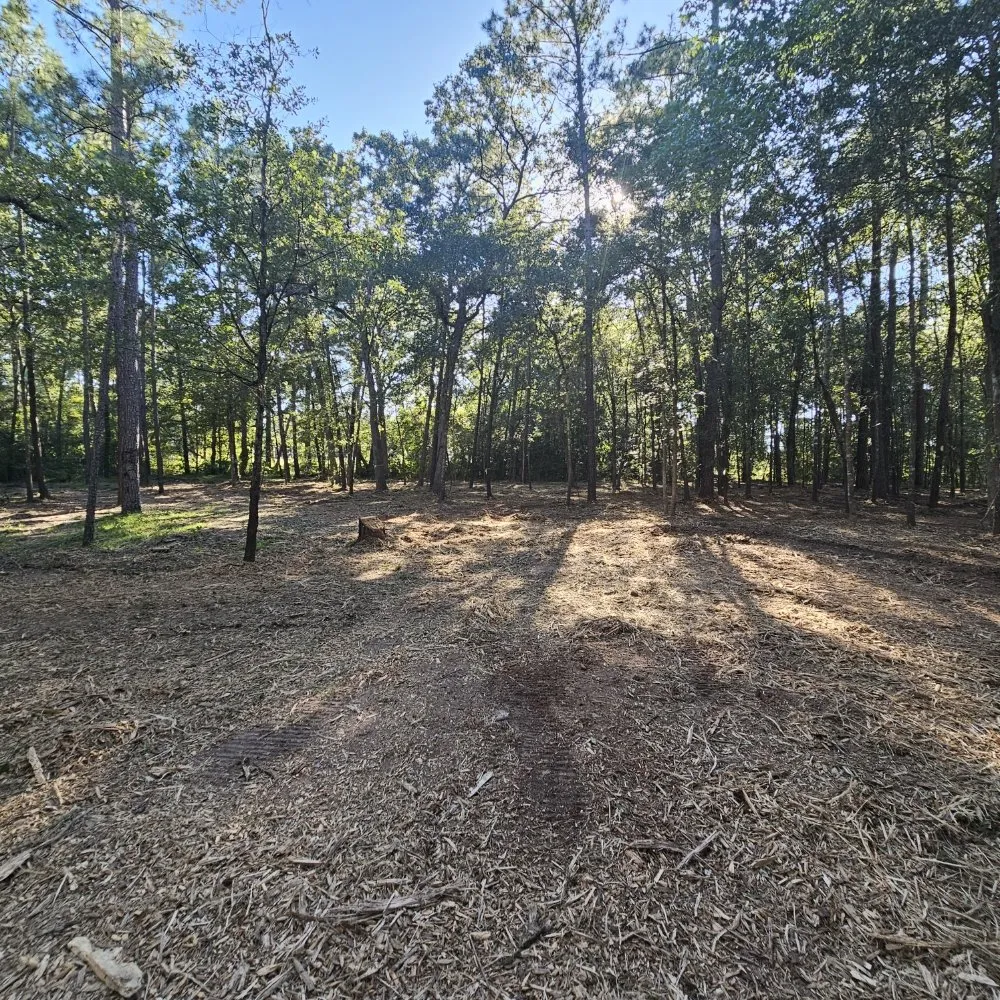 Expert landscaping services in Huntsville, TX by Bryant land services