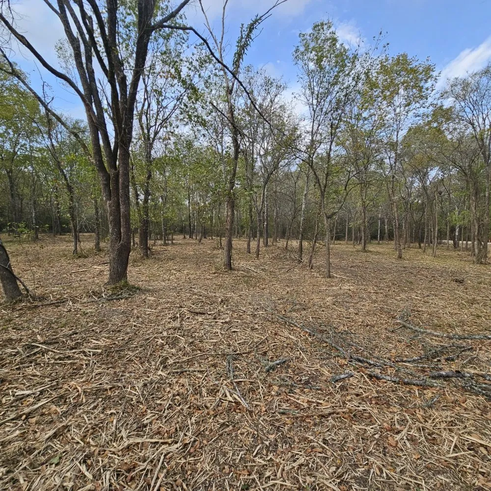 Trusted landscaping services in Huntsville, TX by Bryant land services