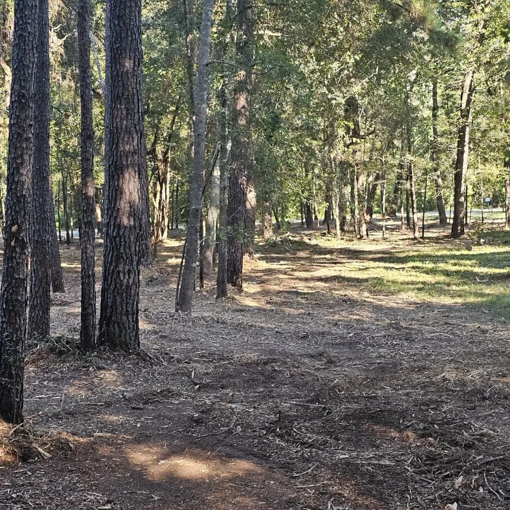 Expert lawn mowing service for homes across Huntsville, TX - Bryant land services