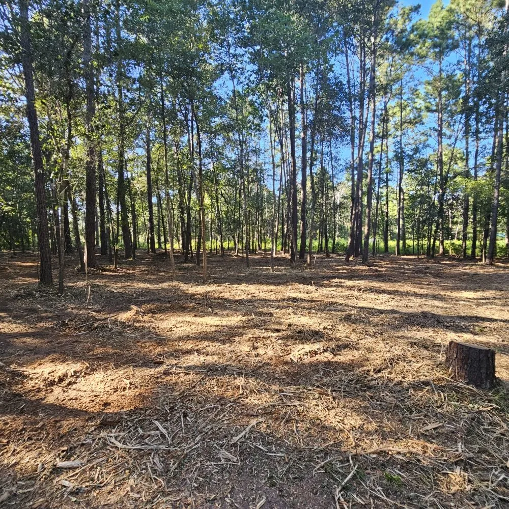 Affordable garden landscaping in Huntsville, TX - Bryant land services