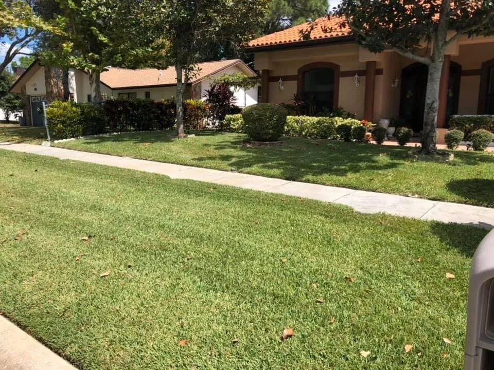 Reliable landscaping services experts serving Tarpon Springs, FL - Bryant Landscaping