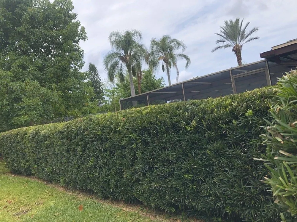 Trusted landscaping services in Tarpon Springs, FL by Bryant Landscaping