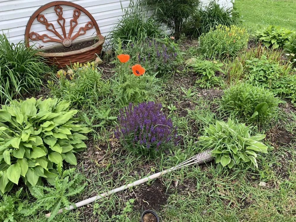 Affordable lawn mowing service in Auburn, IN - Bryant Lawn and Landscape