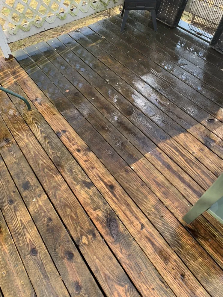 Professional yard maintenance experts serving Auburn, IN - Bryant Lawn and Landscape