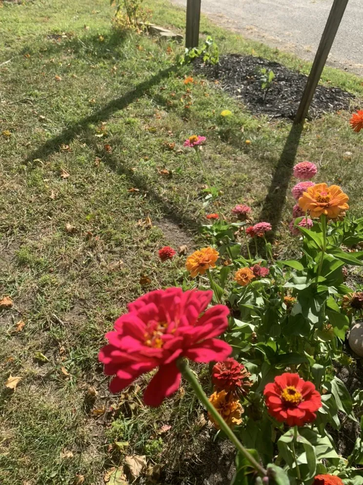 Custom yard cleanup service in Auburn, IN - Bryant Lawn and Landscape