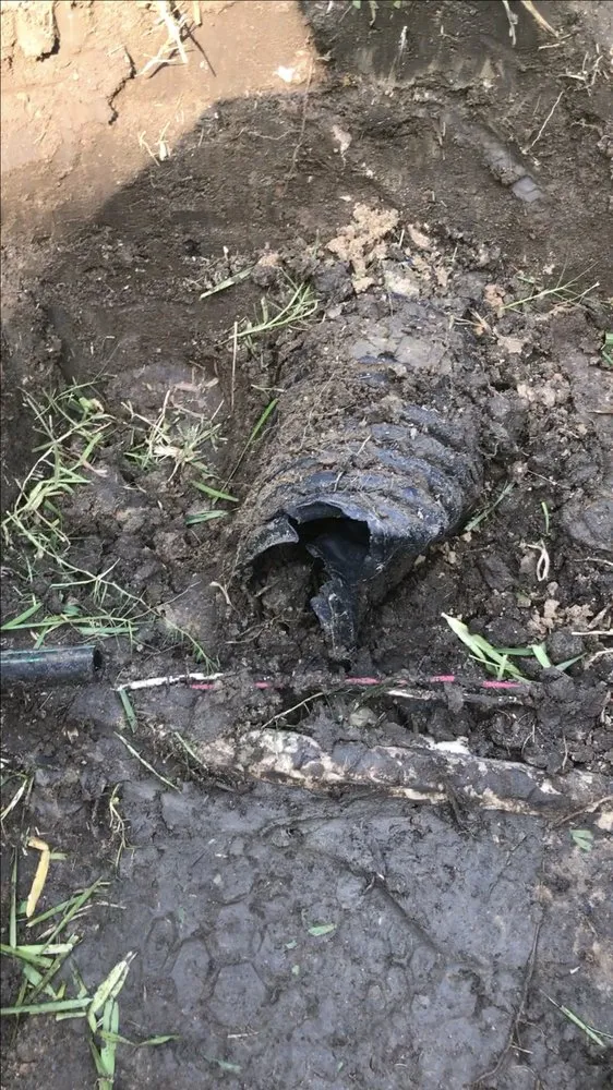 Professional outdoor landscaping for homes in Fort Worth, TX by Bryant Lawn and Sprinkler