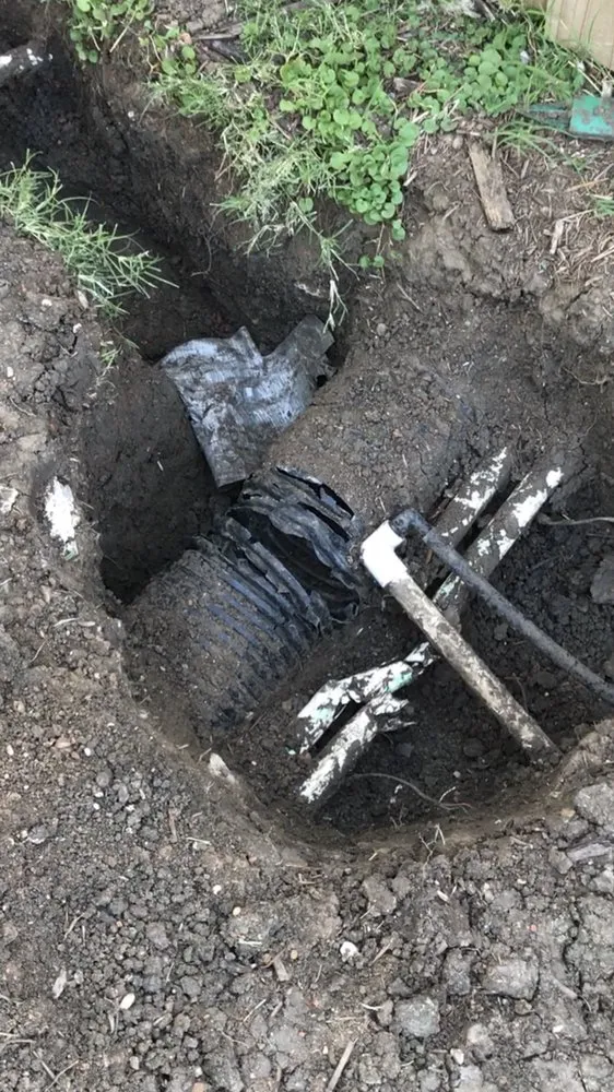 Expert yard cleanup service in Fort Worth, TX - Bryant Lawn and Sprinkler