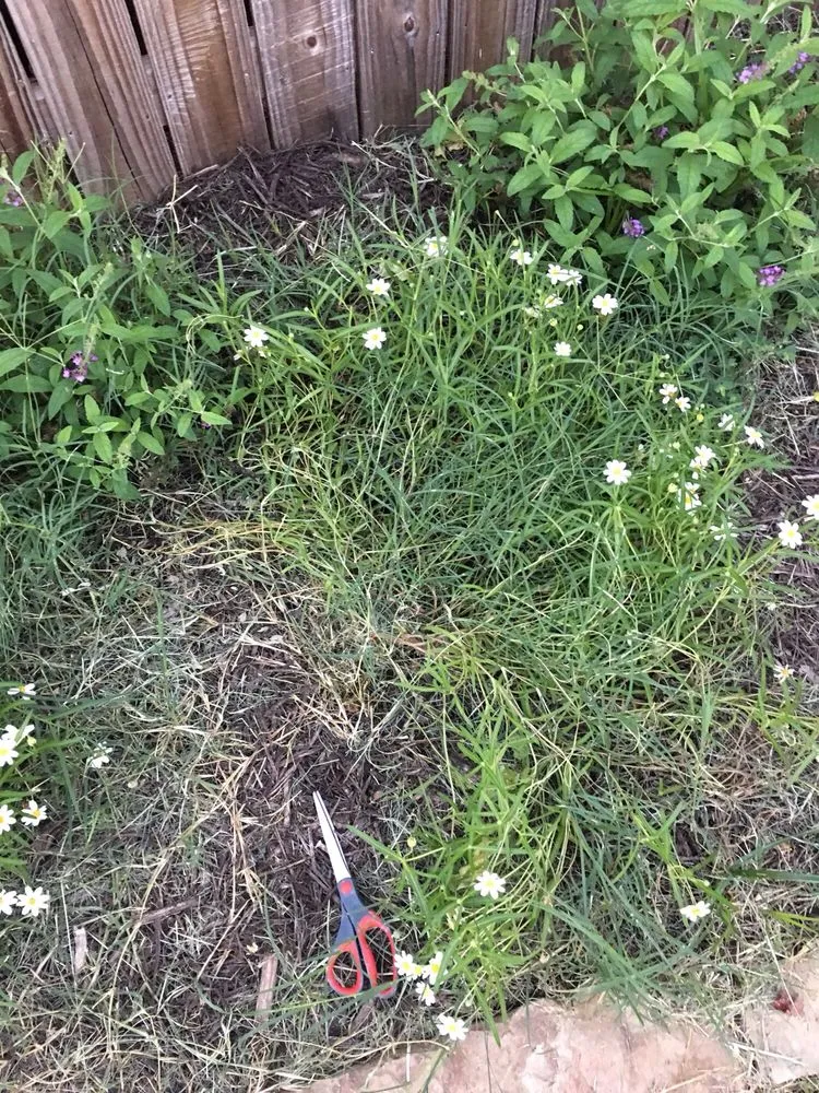 Expert outdoor landscaping in Fort Worth, TX by Bryant Lawn and Sprinkler