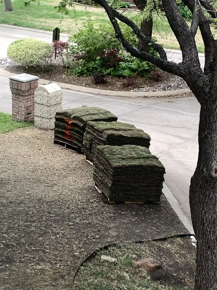 Expert yard cleanup service in Fort Worth, TX - Bryant Lawn and Sprinkler