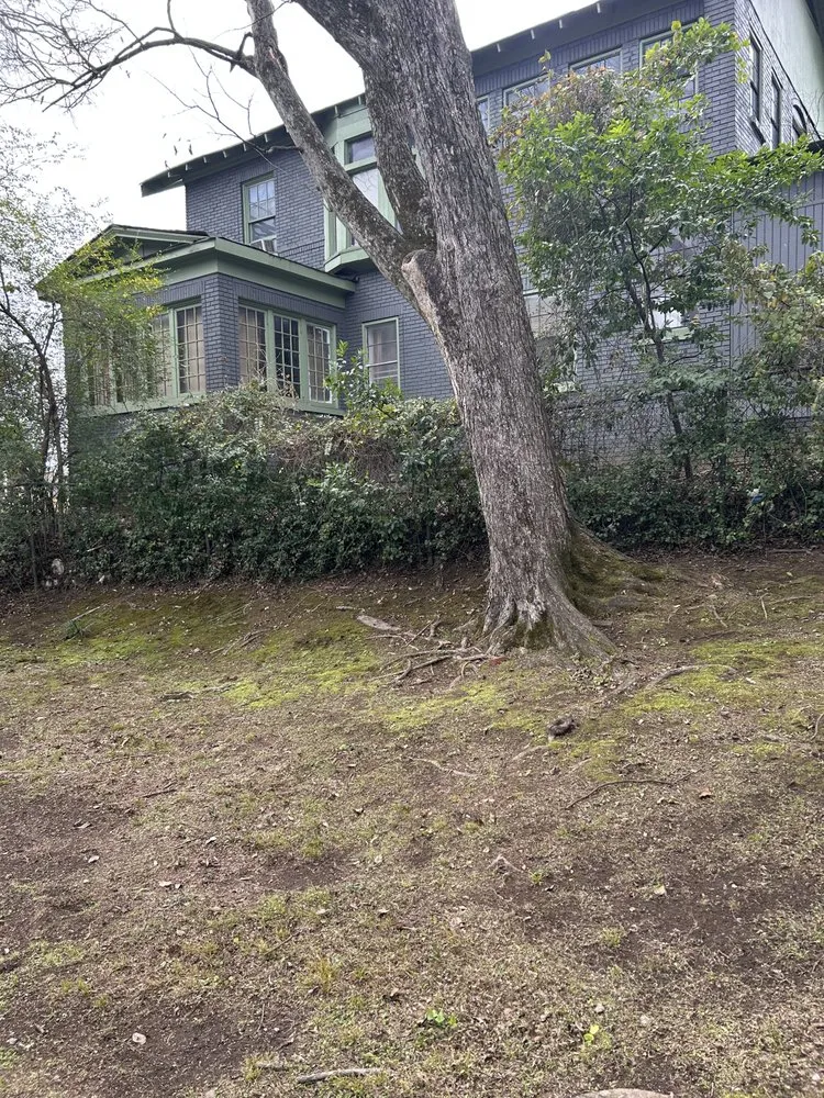 Expert garden landscaping in Birmingham, AL by Bryant Lawn Service