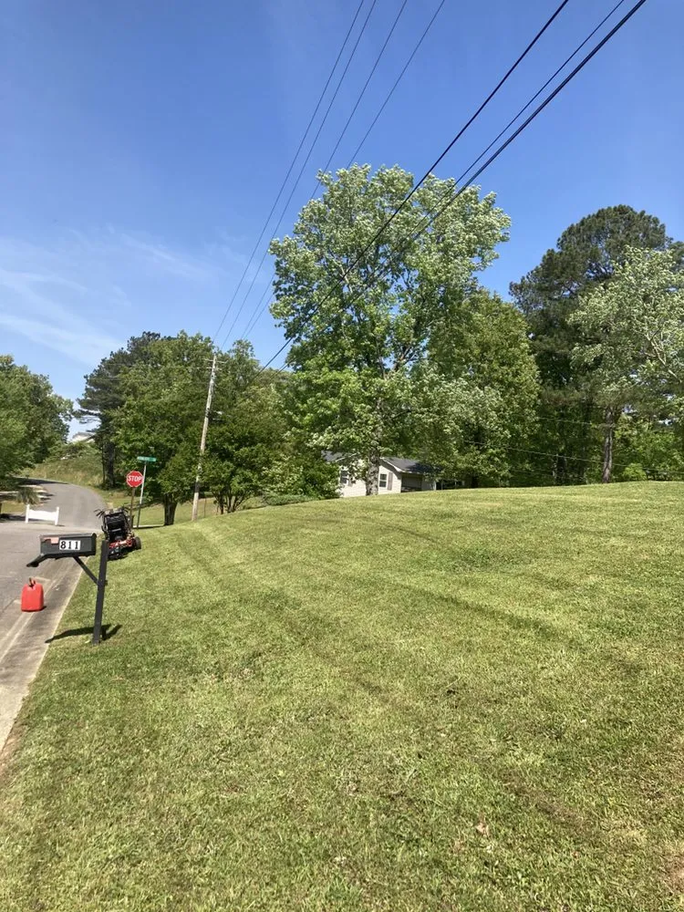 Affordable landscape design in Birmingham, AL - Bryant Lawn Service