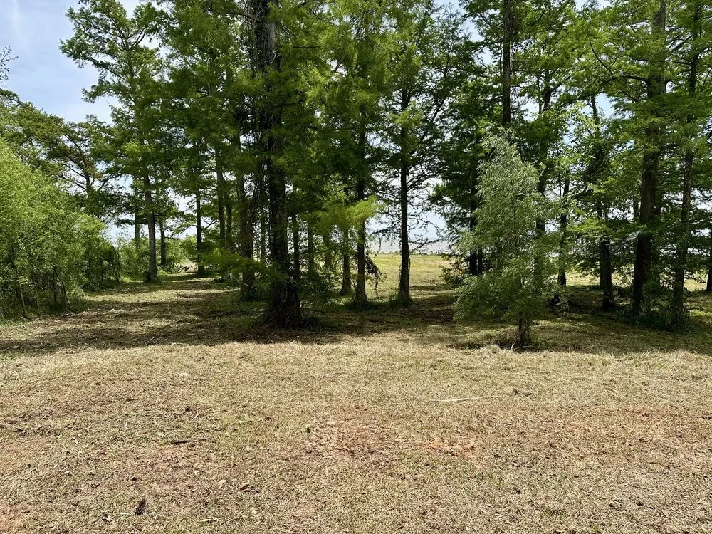 Trusted garden landscaping for beautiful yards in Semmes, AL by Bryant Outdoor Services