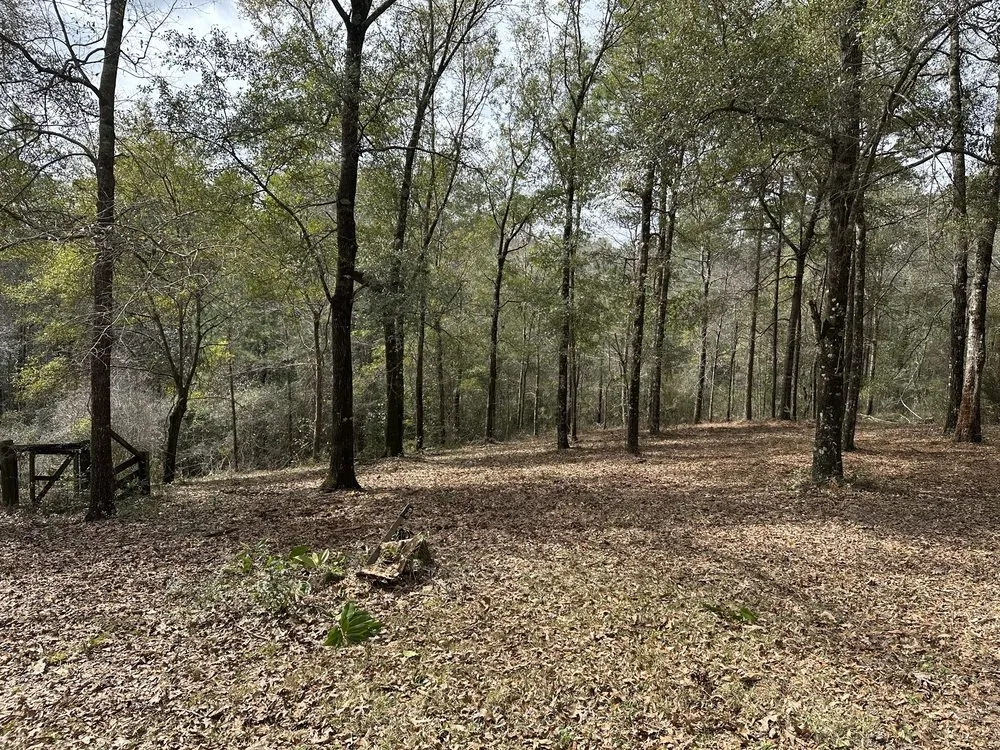 Expert outdoor landscaping for outdoor upgrades across Semmes, AL - Bryant Outdoor Services