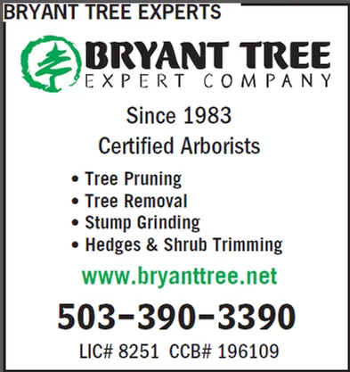 Custom yard maintenance in Salem, OR by Bryant Tree Experts