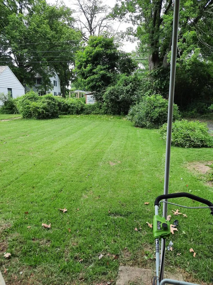 Professional yard cleanup service in Godfrey, IL - Bryant's Affordable Lawn Services