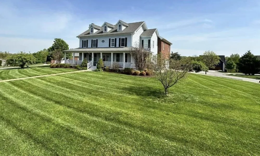 Custom yard maintenance in Louisville, KY by Bryant's Best Lawn & Lighting