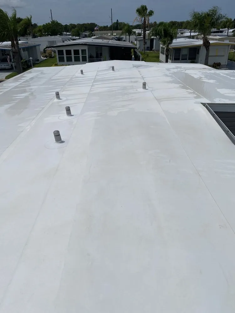 Professional outdoor landscaping experts serving Tampa Bay, FL - Bryant’s Circle