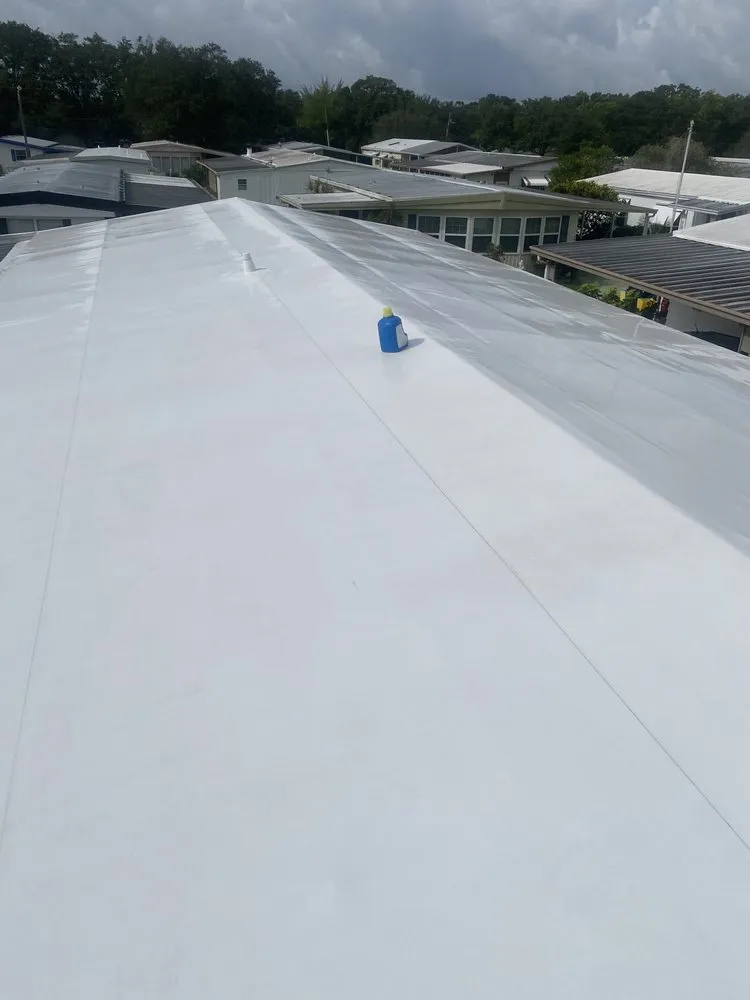 Custom landscape design in Tampa Bay, FL by Bryant’s Circle