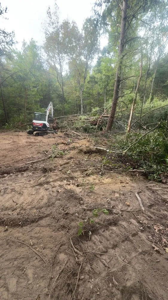 Affordable yard cleanup service in Mooresville, NC - Bryant’s Land Management