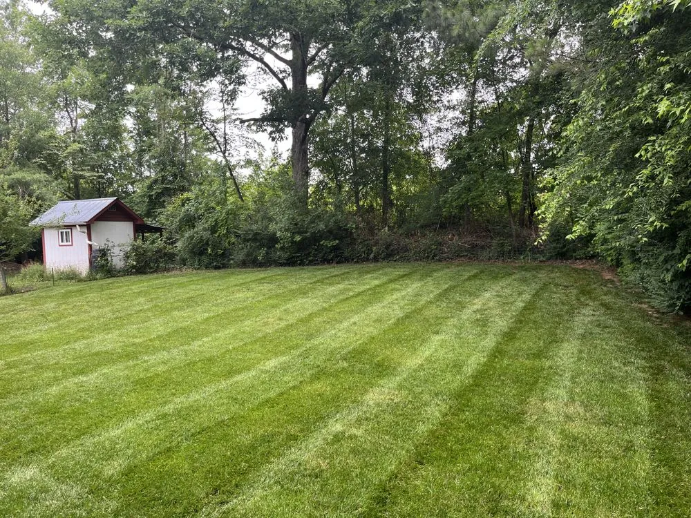 Professional yard cleanup service in Pittsboro, NC by Bryant’s Landscaping