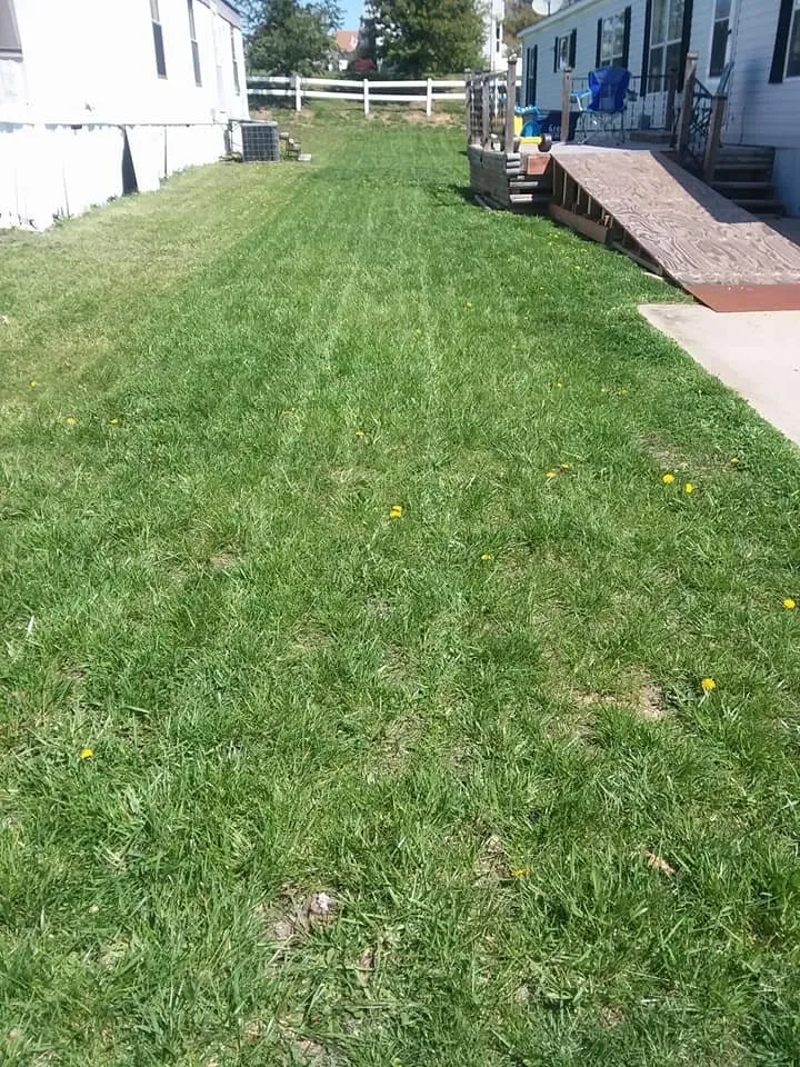 Affordable yard maintenance in Wentzville, MO - Bryant's Lawncare & Design