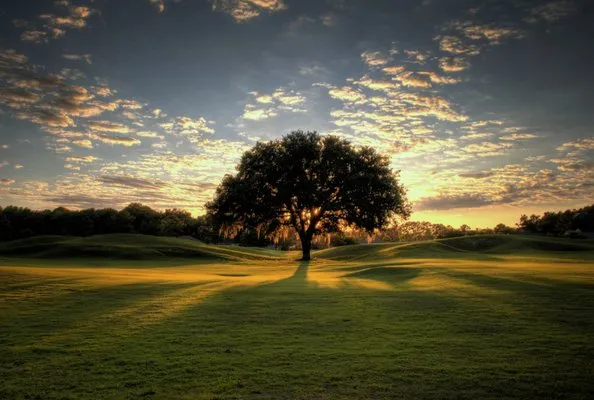 Bryant's Lawncare & Design Logo