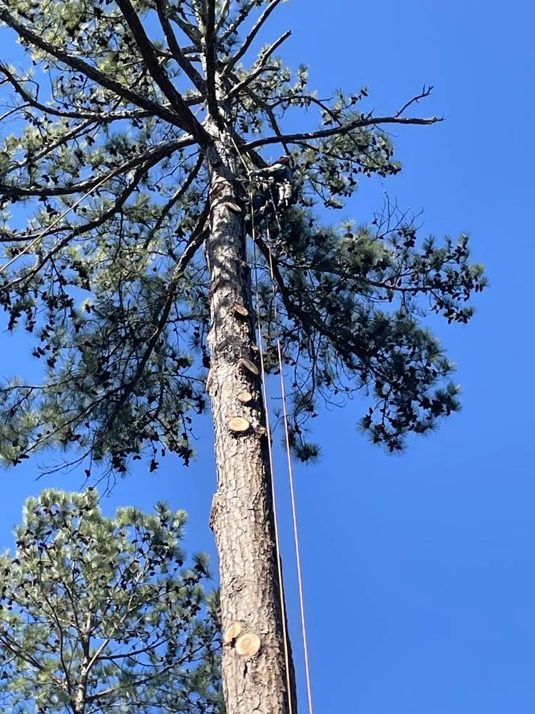 Affordable lawn care service with custom design across Fayetteville, NC - Bryant’s Tree Service