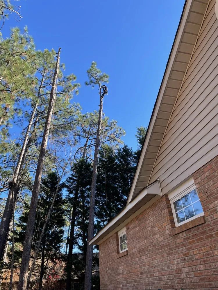 Local yard maintenance for residential properties across Fayetteville, NC - Bryant’s Tree Service